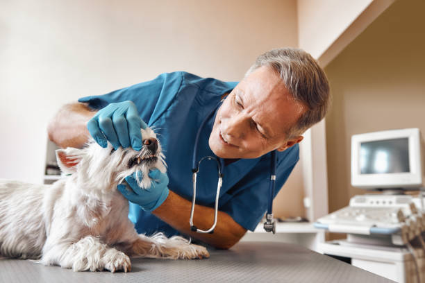 Best Emergency Dental Extractions in Anderson, CA